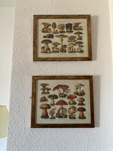 Apartment El Penon *